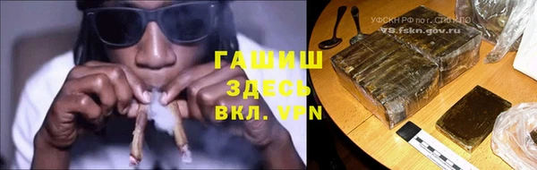 мет Алексин